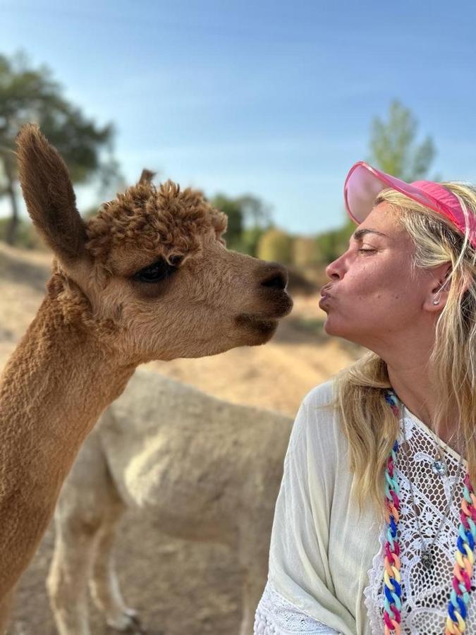 Alpaca Farm And B&B - Mama Adama Grândola Exterior foto